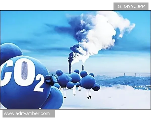 全球气候变化加剧 各国紧急应对措施再升级 保护地球生态刻不容缓