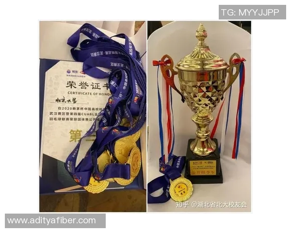 南京羽毛球队与深圳羽毛球队赛后技术分析与战术总结 南京羽毛球队与深圳羽毛球队赛后技术分析与战术总结
