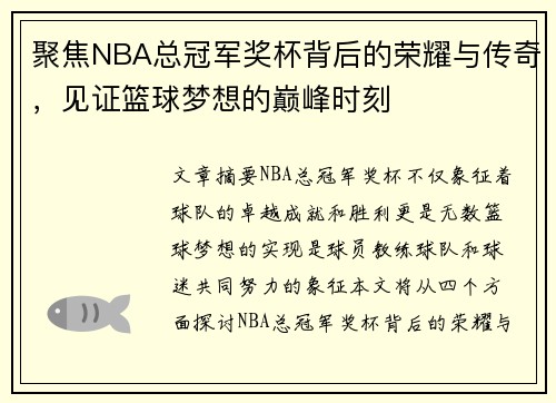 聚焦NBA总冠军奖杯背后的荣耀与传奇，见证篮球梦想的巅峰时刻